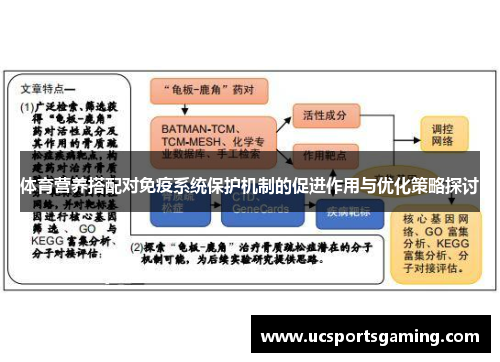 体育营养搭配对免疫系统保护机制的促进作用与优化策略探讨