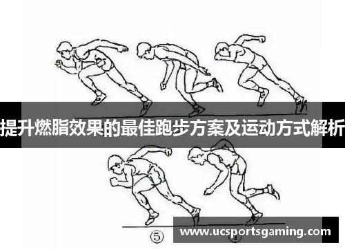 提升燃脂效果的最佳跑步方案及运动方式解析