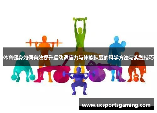 体育健身如何有效提升运动适应力与体能恢复的科学方法与实践技巧